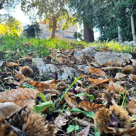 Il Trullo E Il Fortino Αλμπερομπέλο Εξωτερικό φωτογραφία