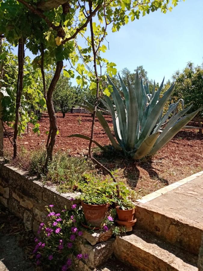 Il Trullo E Il Fortino Αλμπερομπέλο Εξωτερικό φωτογραφία