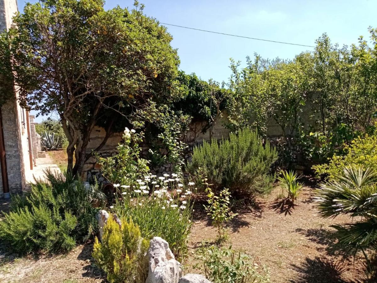 Il Trullo E Il Fortino Αλμπερομπέλο Εξωτερικό φωτογραφία