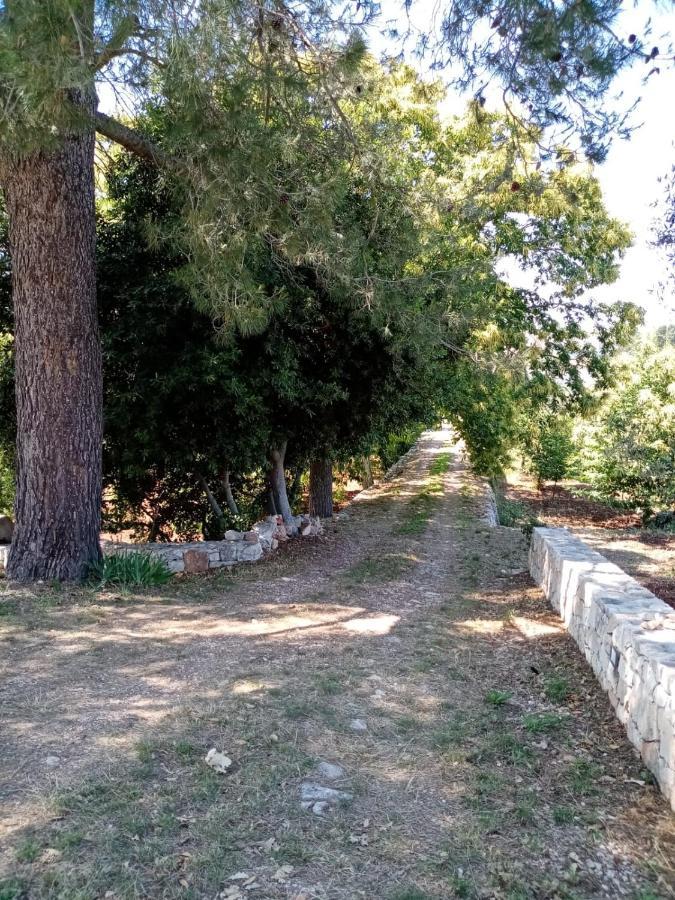 Il Trullo E Il Fortino Αλμπερομπέλο Εξωτερικό φωτογραφία