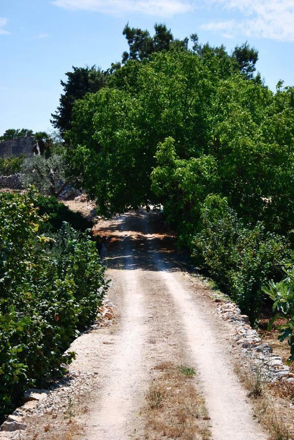 Il Trullo E Il Fortino Αλμπερομπέλο Εξωτερικό φωτογραφία